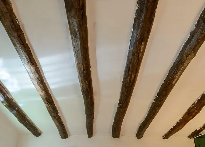 Kır Evi Mas Nofre Vilademuls
